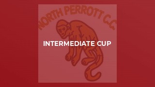Intermediate Cup