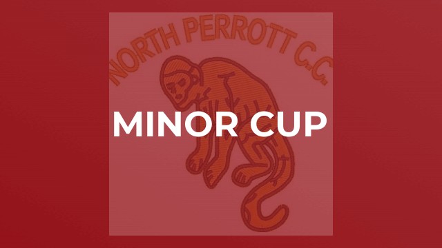 Minor Cup