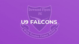 U9 Falcons