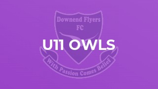 U11 Owls