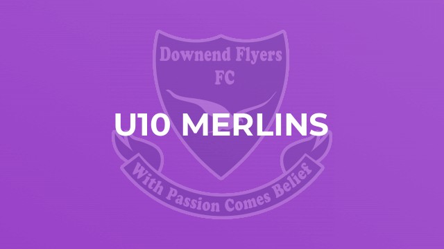 U10 Merlins