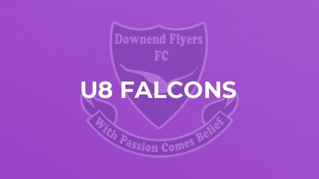 U8 Falcons