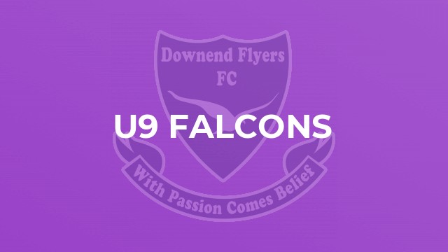 U9 Falcons