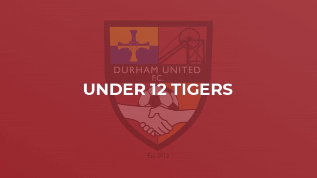 Durham United YFC Under 12 Tigers