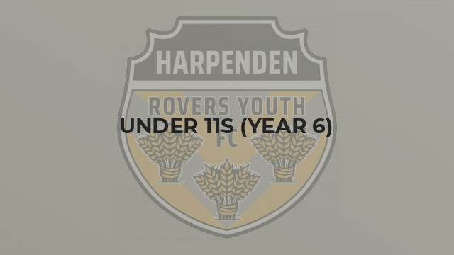 Under 11s (Year 6)