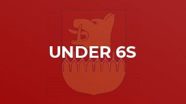 Under 6s