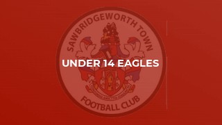 Under 14 Eagles