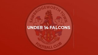 Under 14 Falcons