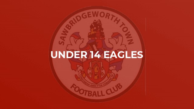 Under 14 Eagles