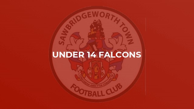 Under 14 Falcons