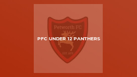 PFC Under 12 Panthers