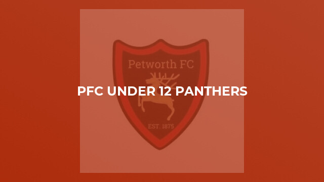 PFC Under 12 Panthers