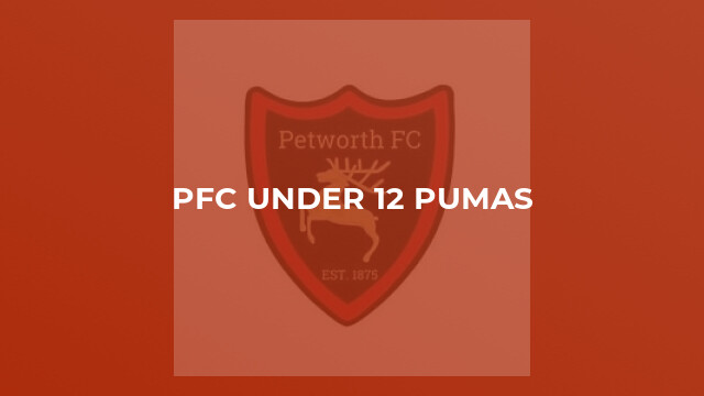 PFC Under 12 Pumas