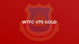 WTFC U7s Gold
