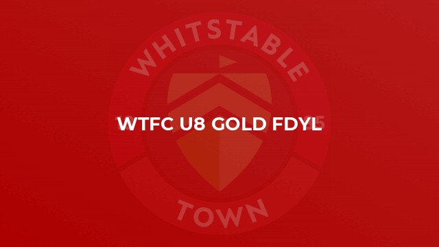 WTFC U8 GOLD FDYL