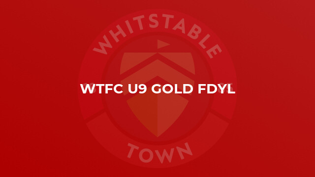 WTFC U9 Gold FDYL