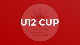 U12 Cup
