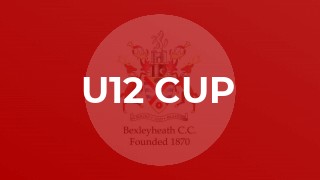 Under 12 Cup