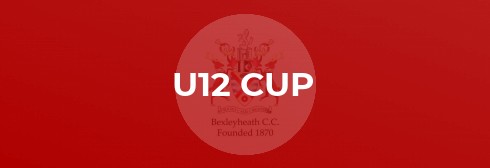 Under 12 Cup