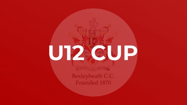 U12 Cup