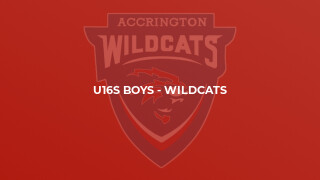 U16s BOYS - WILDCATS