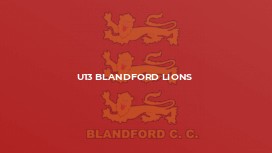 U13 Blandford Lions