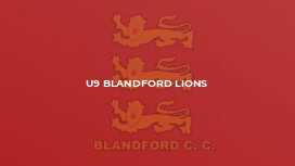 U9 Blandford Lions