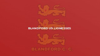 Blandford U9 Lionesses