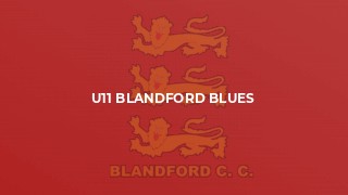 U11 Blandford Blues