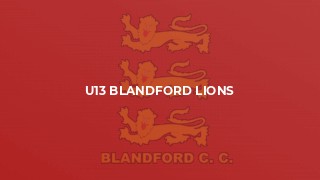 U13 Blandford Lions