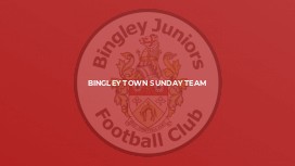 Bingley Town Sunday Team