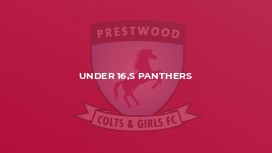 Under 16,s Panthers