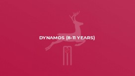 Dynamos (8-11 years)