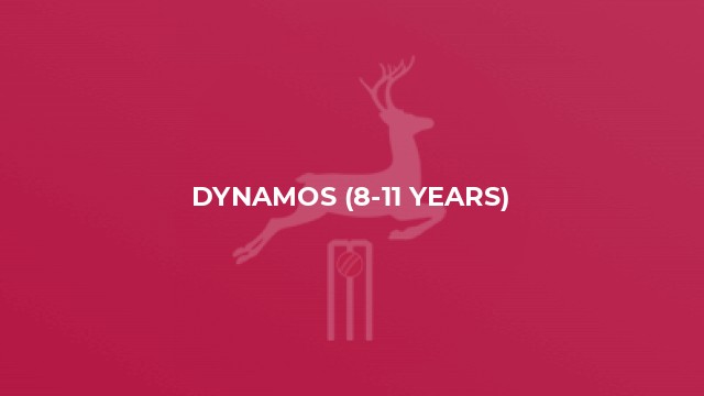 Dynamos (8-11 years)