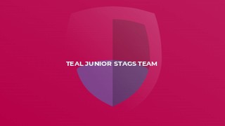 Teal Junior Stags Team