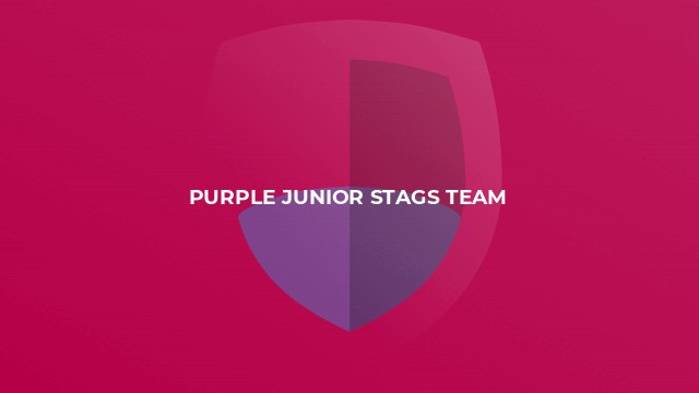 Purple Junior Stags Team