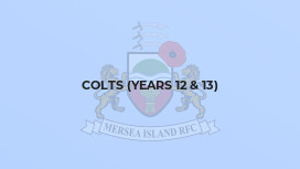 Colts (Years 12 & 13)