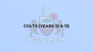 Colts (Years 12 & 13)