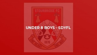 Under 8 Boys - SDYFL