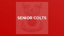 Senior Colts