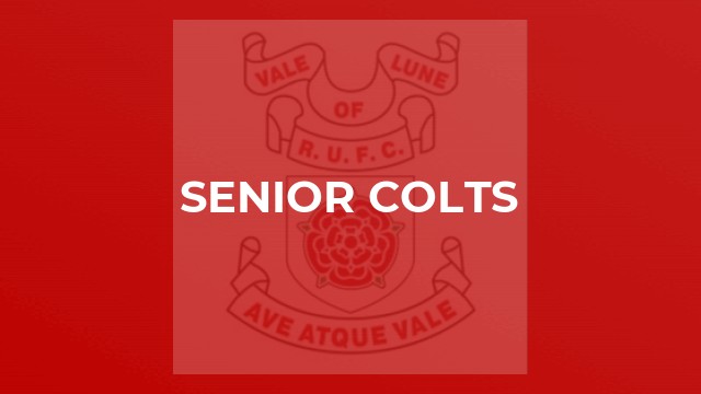 Senior Colts