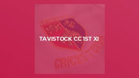 Tavistock CC 1st XI