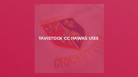 Tavistock CC Hawks U13s