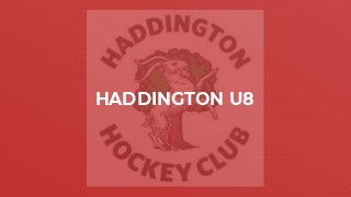 Haddington U8