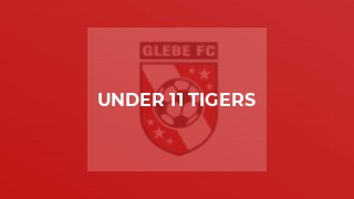 Under 11 Tigers