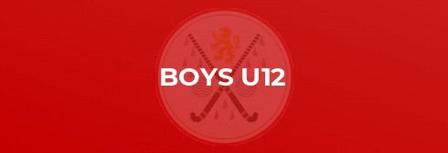 U12 Boys Home Tournament