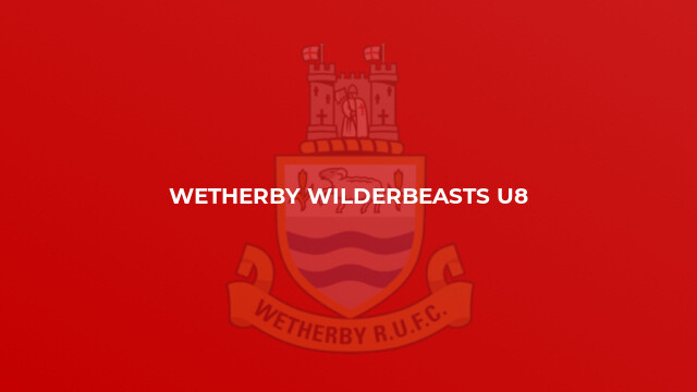 Wetherby Wilderbeasts U8
