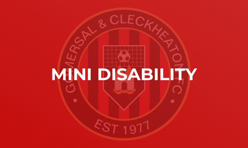 Mini Disability