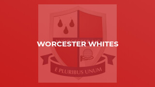 Worcester Whites