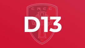 D13